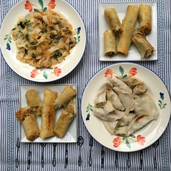 Gluten-free spring rolls and dumplings from Feel Good Foods